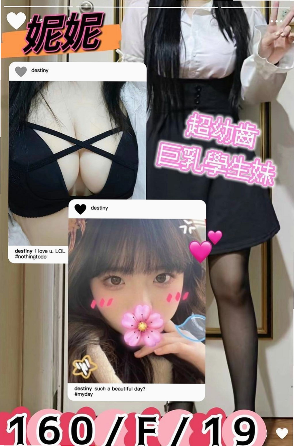 ☕ 美美 @ 新北定點茶